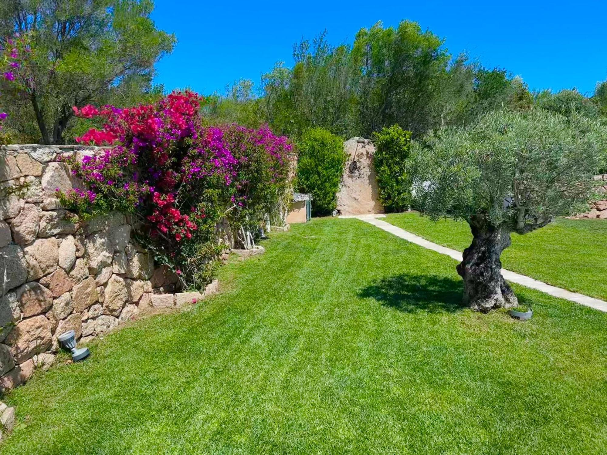 Villa Ibiscus Cannigione Esterno foto